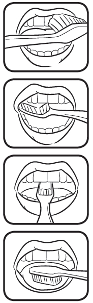 How to Brush - dentistpangasinan.com